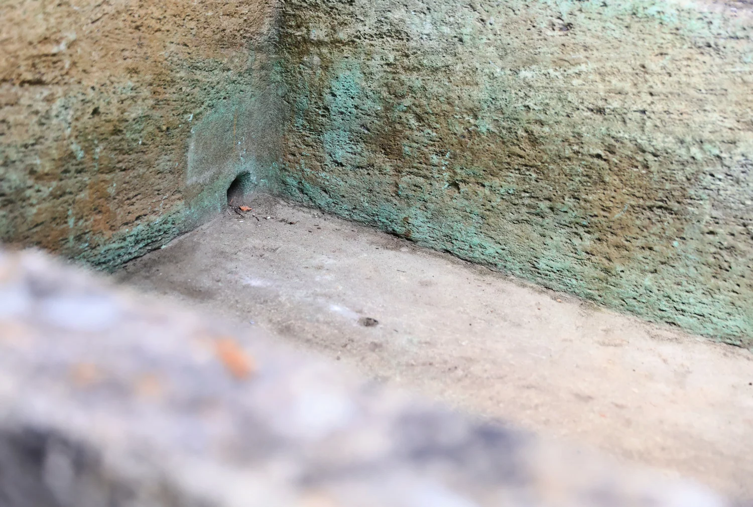 19. jahrhundert trog