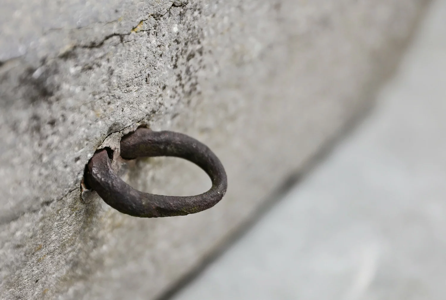 19. jahrhundert trog