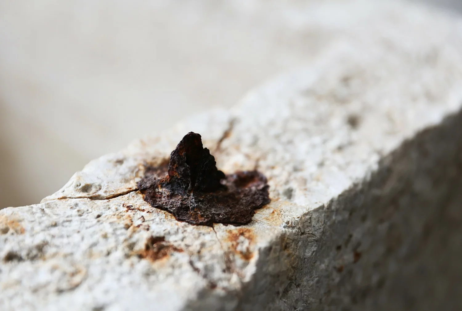 alte französischer kalkstein trog