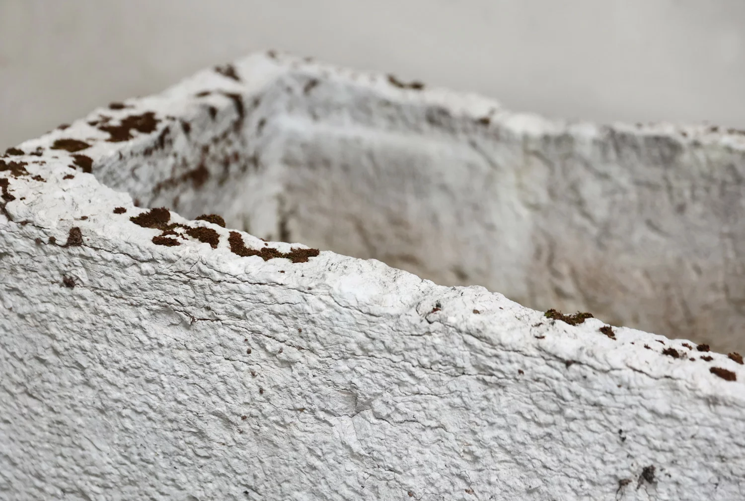 alter trog von französischer kalkstein