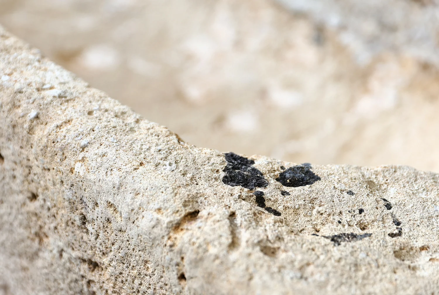 alte französischer kalkstein trog