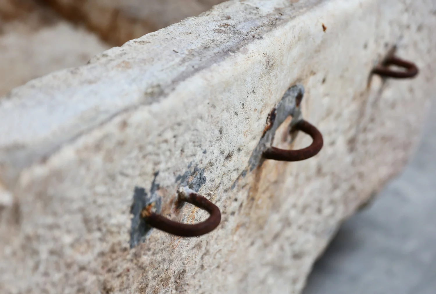 19. jahrhundert trog