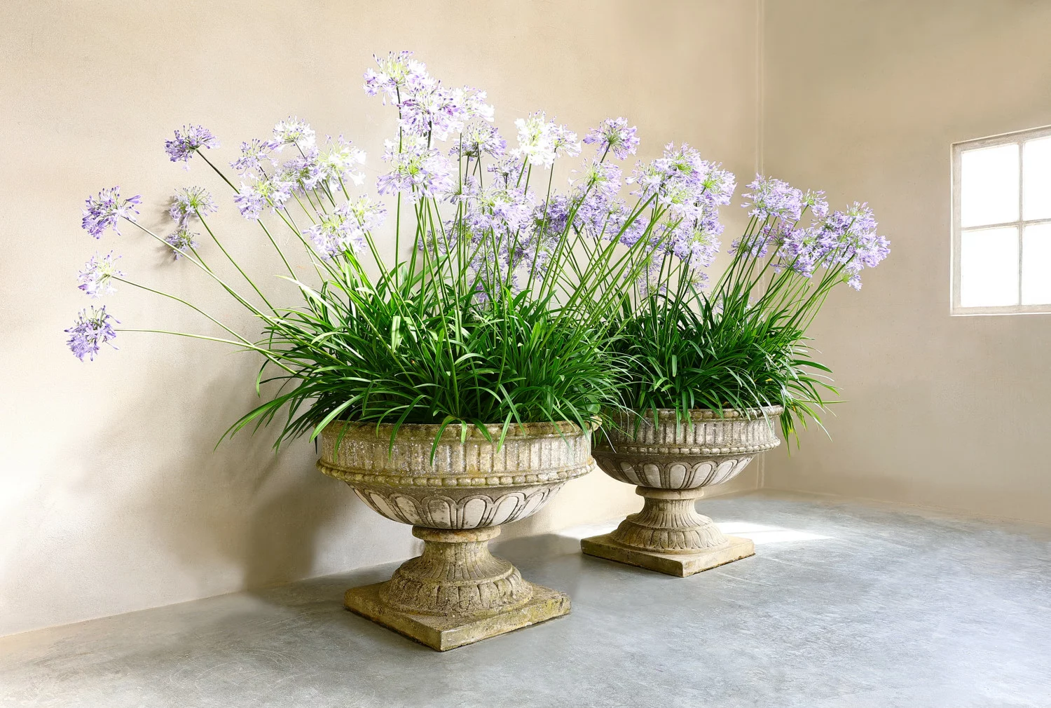 alte vasen von französischer kalkstein