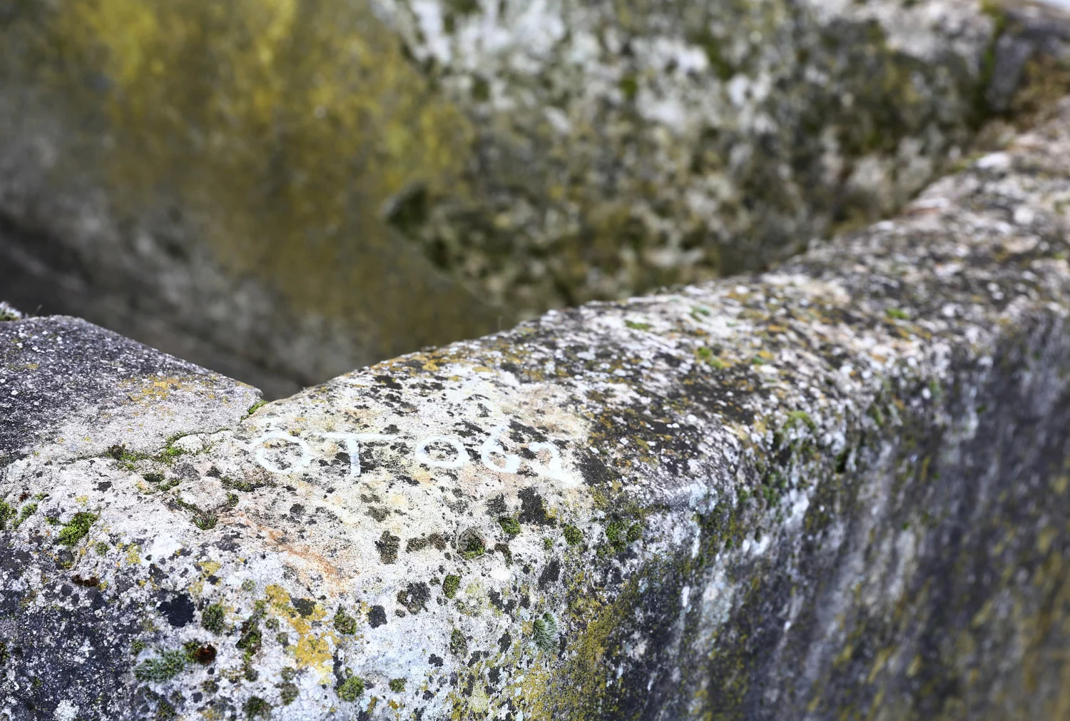 alte franzosicher trog