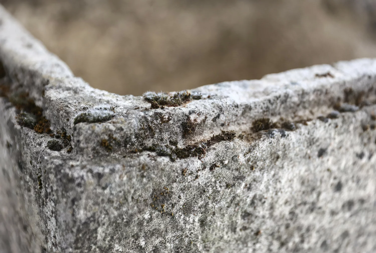 19. jahrhundert trog