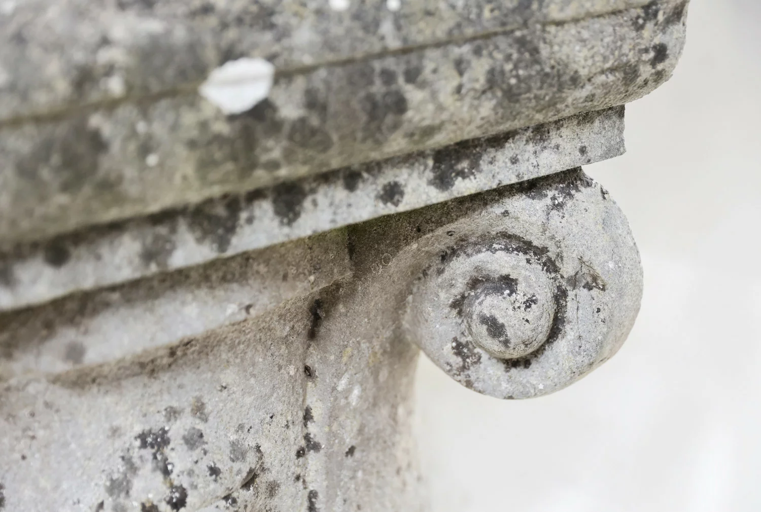 planter von französischer kalkstein