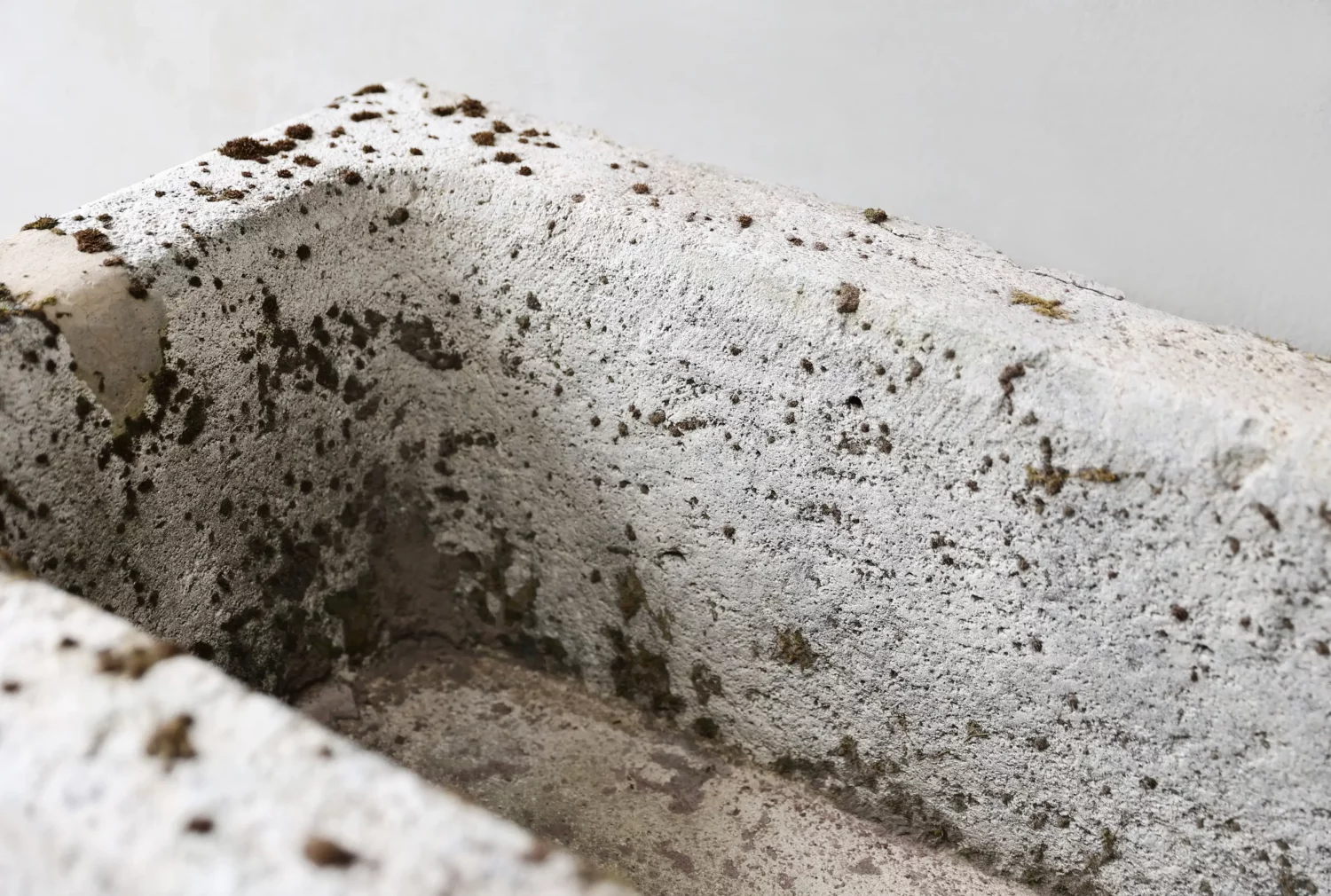 antiker trog französischer kalkstein