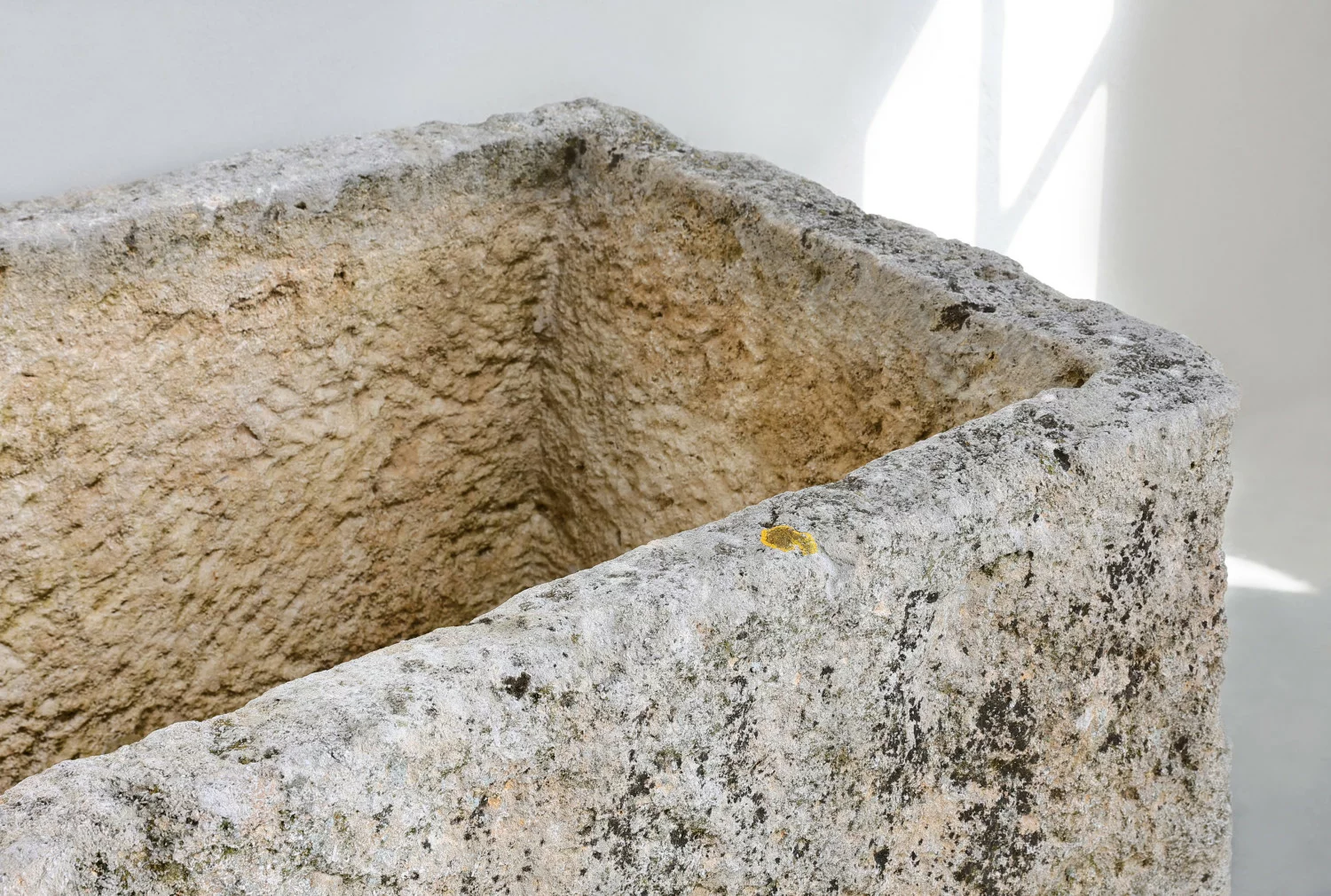 19. jahrhundert trog