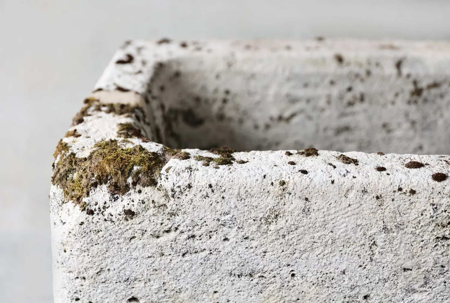 19. Jahrhundert trog