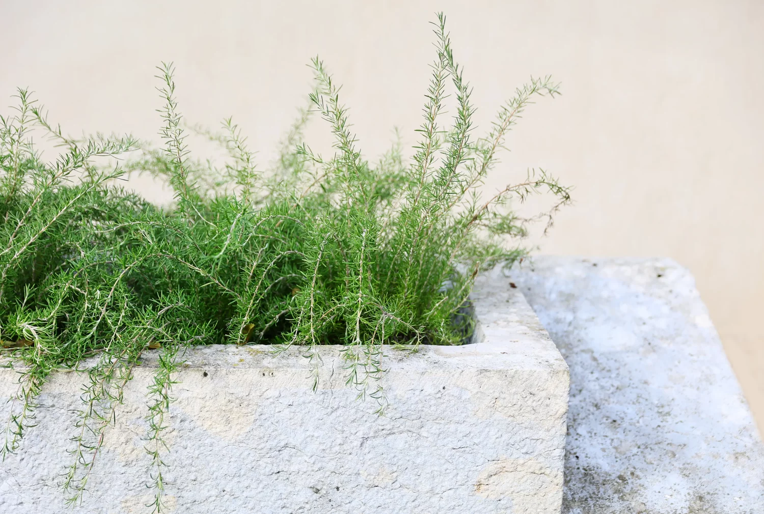 alte Baumaterialien