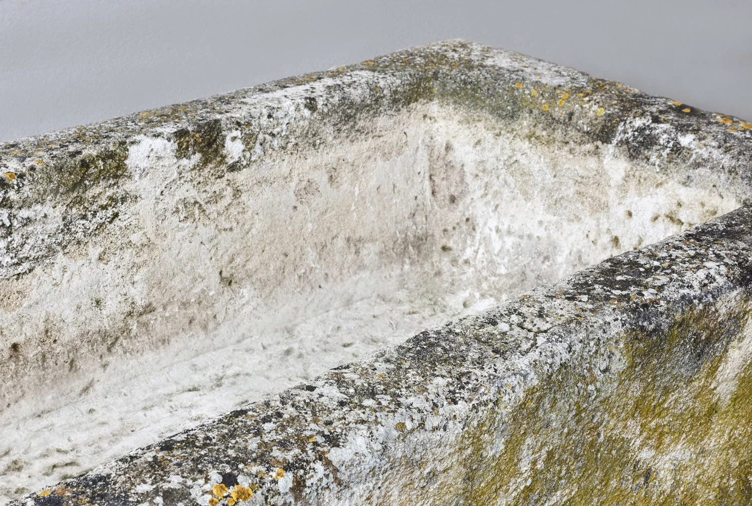 19. jahrhundert trog