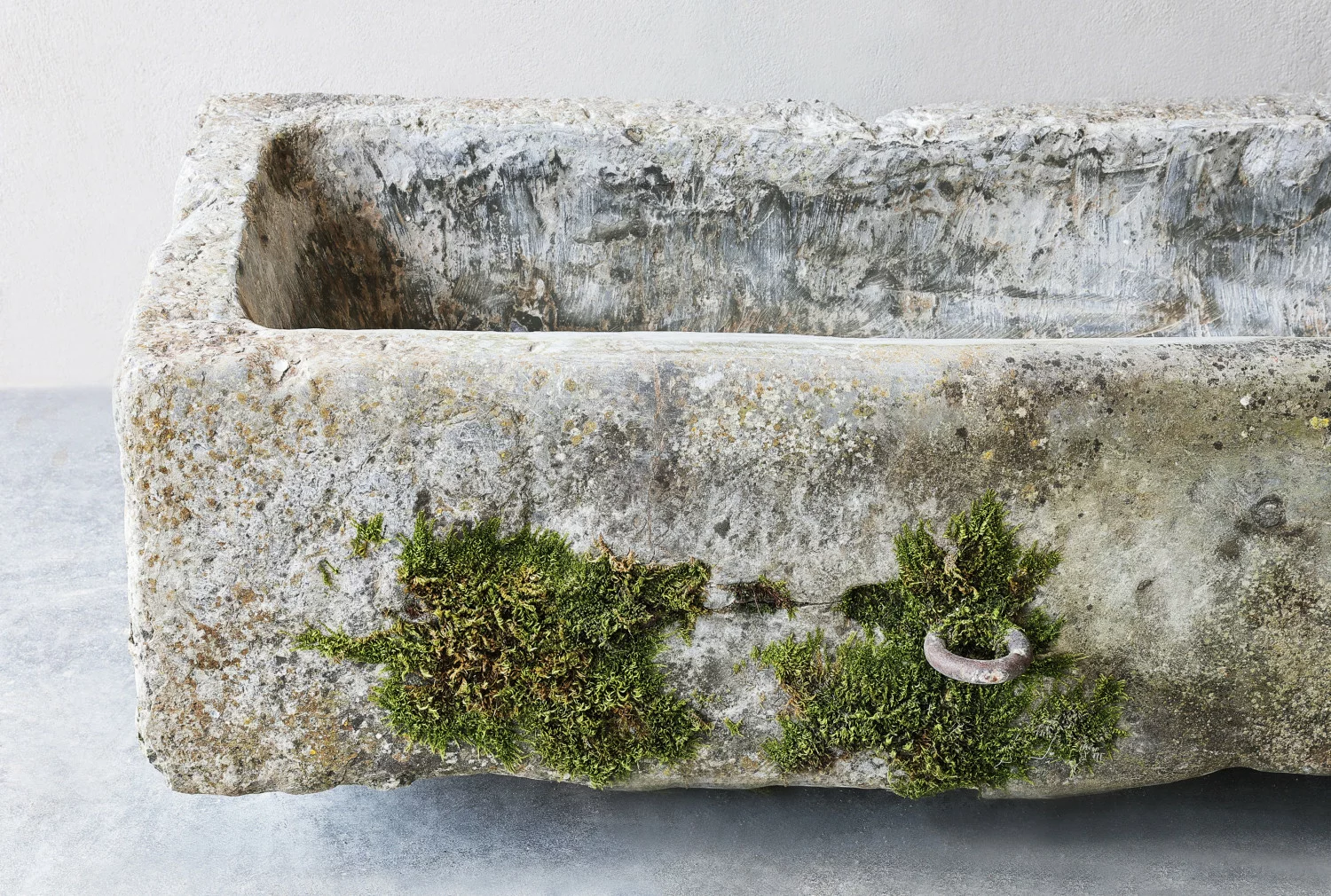 19. jahrhundert trog