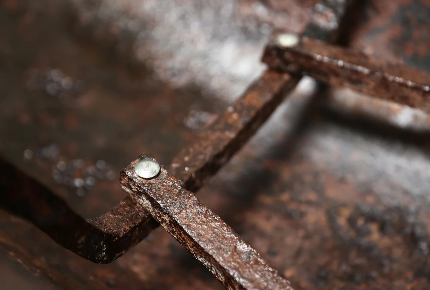 19. jahrhundert trog